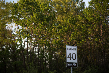 40 km/h speed limit with tree background