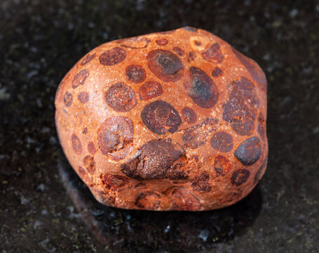 closeup of sample of natural mineral from geological collection - polished Bauxite rock on black granite background from Kostanay region, Arkalyk, Kazakhstan