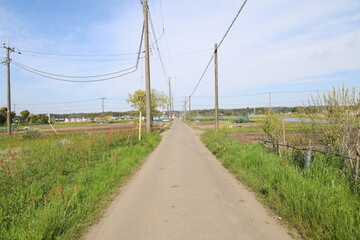 直線道路