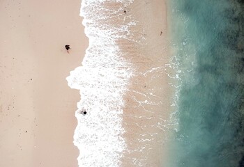 children playing with the waves on the beach