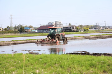 Fototapeta premium 田植え