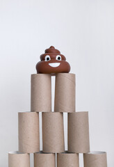 Pyramid of empty toilet paper rolls and poop