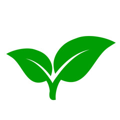 Spring branch with green leaves icon vector isolated on white background. Elements for eco and bio logos