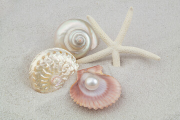 Starfish and seashells with pearl on white sand