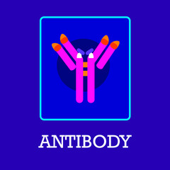 Antibody