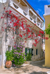 View of narrow street – old town of Greece Island – Paxos – white house and beautiful red and purple flowers