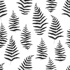 Botanical graphic pattern of black fern leaves on white background. Ideal background for branding, package, fabric and textile, wrapping paper..