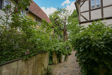 View into a densely planted small residential alley, typical tourist destination in the medieval old town of Luebeck, Germany