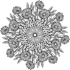 mandala flower aster daisy leaves branches flowering spring summer lined doodle coloring book page black and white background