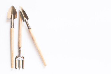 Tools for gardening at home. Growing food on windowsill. Copyspace for text, top view. Flatlay on white background