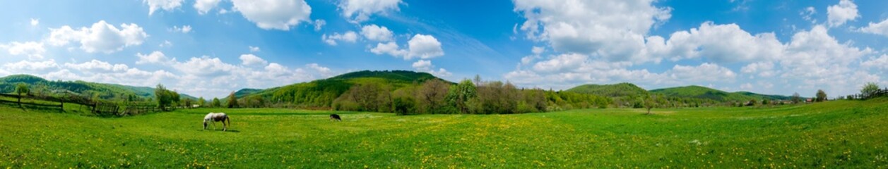 Obraz premium Wonderful panorama of the mountains. Horses on a mountain meadow. Summer panorama landscape in the mountains. Ukraine, Carpathians. Beautiful nature villages. Picture of wildlife