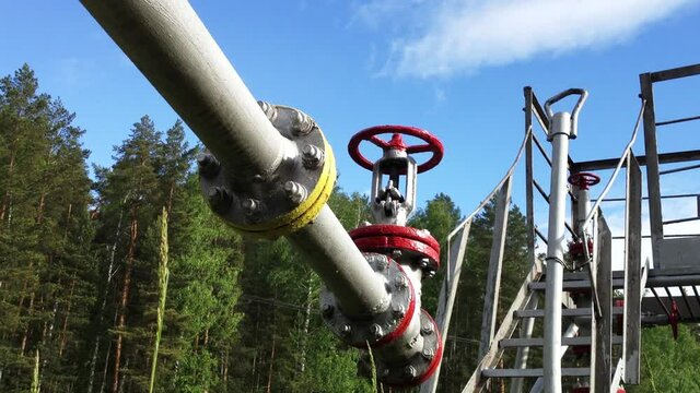 Fuel, gas, oil, petrol. The long pipe of the pipe-line. 