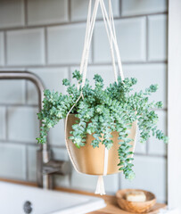 Makramee Blumenampel aus Baumwollschnur geknüpft - Urban Jungle Trend - Zimmerpflanzen Dekoration