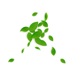 Falling green leaves. Fresh tea chaotic leaves fly