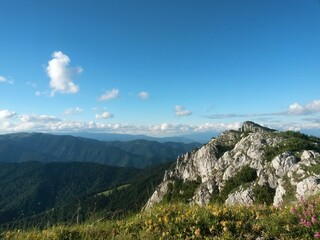 beautiful landscape seen from top of the green mountain in summer season. horizon line on sunny day with blue sky and fluffy clouds