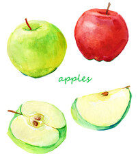 set of apples .  Four apples.set for design. Watercolor illustration.