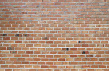 Old Brick Wall Texture for background.