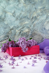 purple lilac flowers, gift box and silk fabric on background