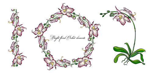 Bright floral Orchid elements for design