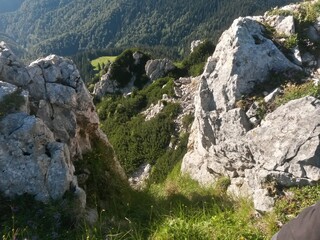 spring time at the mountains on sunny day with green grass in vibrant color