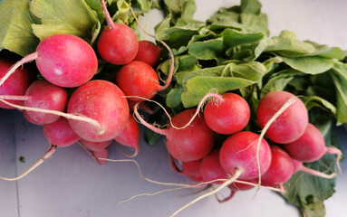 Radis bunch on black stone slate close up. Fresh radish root bundle, pile of red radishes with green leaves on food slate