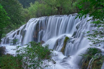 Beautiful and fresh scenery at  waterfall with stacking cascade, green algae, moss and trees at Jiuzhaigou Valley National Park.