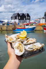 Oysters from Whitstable harbour - a seaside town on the north east coast of Kent, south England
