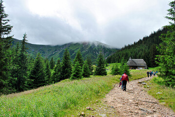Fototapeta na wymiar walking the hiking trail in mountains