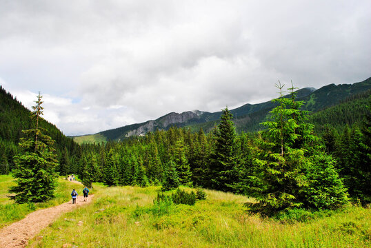 hiking in the mountains