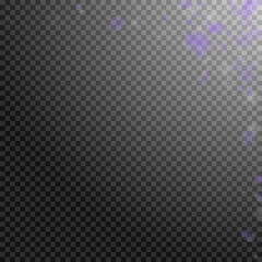 Violet flower petals falling down. Beauteous roman