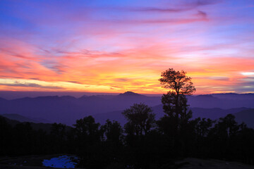 sunset in the mountain forest