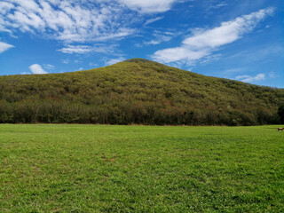 
Wide grassland overlooking the big mountains and clear skies.