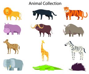 Jungle wild animals savannah forest animal vector image Collection