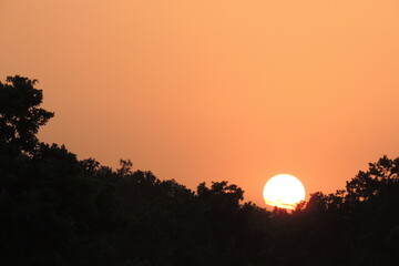 Sunset over the Indian Jungle