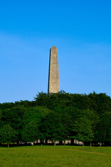 Fototapeta na wymiar Obelisco Dublin Phoenix park