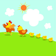 Obraz na płótnie Canvas Chicken family walk. Vector illustration of cock, hen and little chicks walk together under the sun.