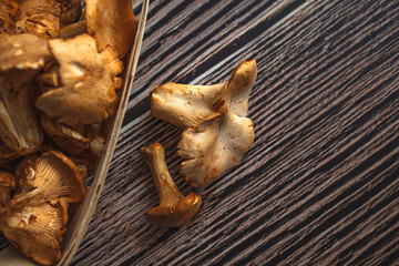 Raw uncooked Chanterelles forest mushrooms on kitchen table. Rustic style, day light, copy space. Chanterelle mushrooms, Raw wild chanterelles mushroom on rustic background close-up.