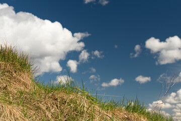 white cumulus clouds on a blue sky and green and dry grass