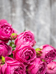 Beautiful rose Bush roses, wedding flowers close-up.