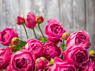Beautiful rose Bush roses, wedding flowers close-up.