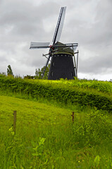 Holandia - Niderlandy. Wiatrak i zielone ekologiczne pola uprawne - obrazy, fototapety, plakaty