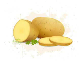 vector illustration of potato