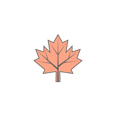 Maple leaf vector illustration