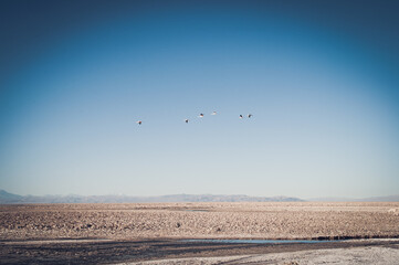 Breathtaking view in lonesome Atacama desert in Chile