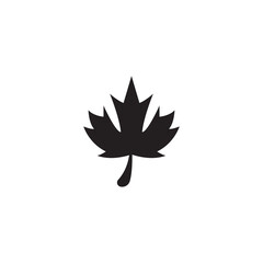 Maple leaf vector illustration