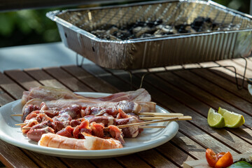 barbecue of chicken heart, vegetables and salmon skewer doing at home