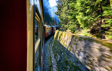 Steam locomotive drives through a curve in the forest. Dynamics through motion blur.