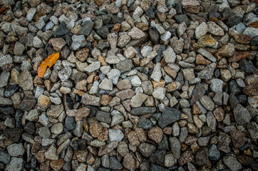 bed of rocks and pebbles with a leaf