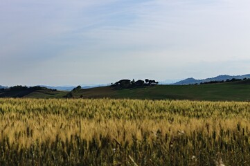 The Marche region, which borders Tuscany, is rich in hilly landscapes with green meadows and...