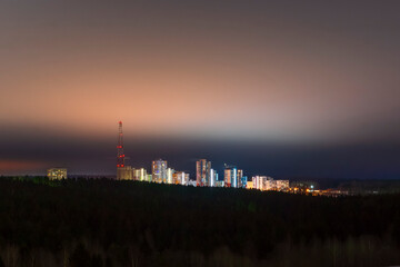 Lights of night city in dark forest landscape in winter night